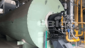 歐保為江蘇盛泰化學配套1200萬大卡導熱油爐配套低氮燃燒器項目